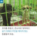 섬네일이미지  5: