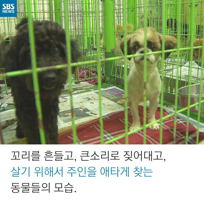 메인이미지  5 : 