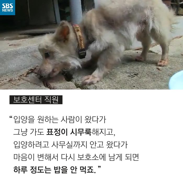 메인이미지  6 : 
