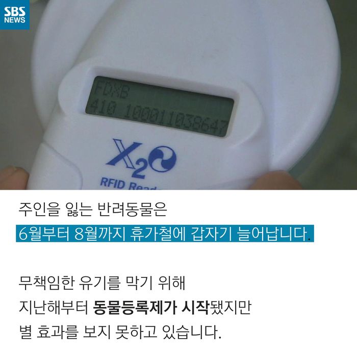 메인이미지  7 : 