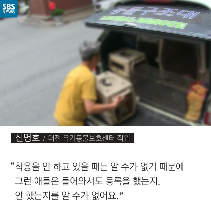 메인이미지  8 : 