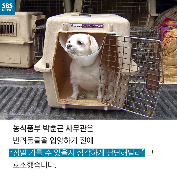 메인이미지  9 : 