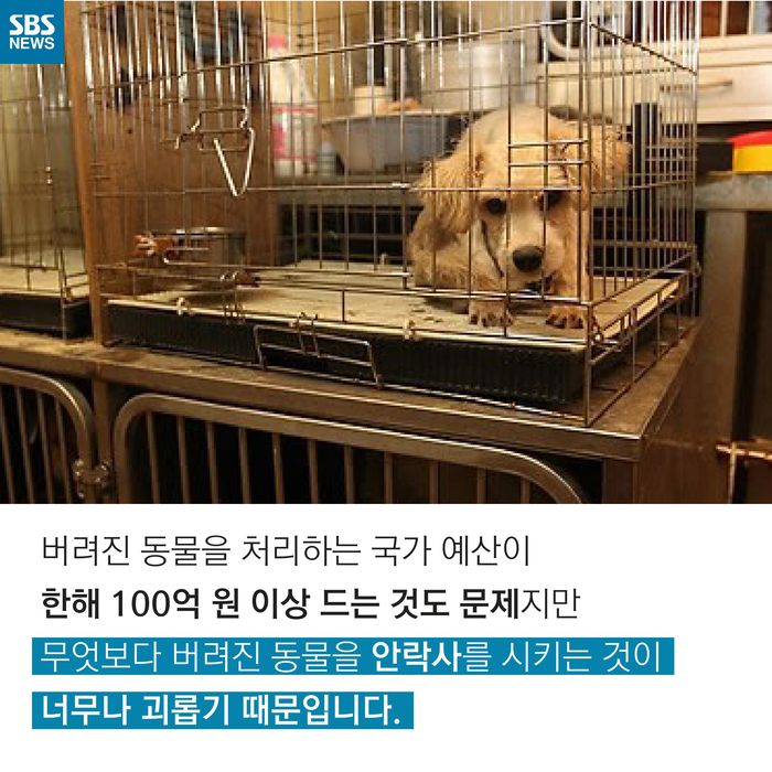 메인이미지  10 : 