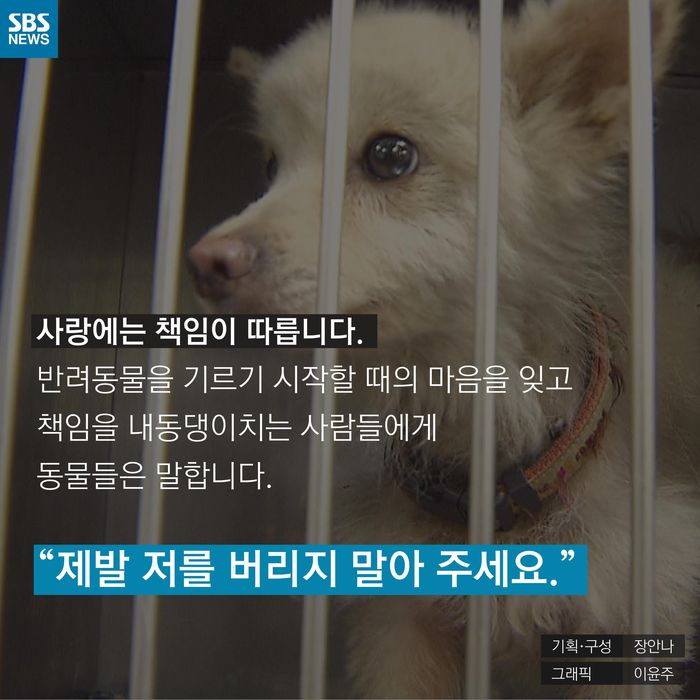 메인이미지  11 : 
