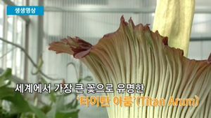 [생생영상] 꽃에서 시체 썩은 냄새가?&hellip;'휘둥그레'