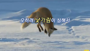 '내가 무식하다고?'&hellip;새들의 숨겨진 반전
