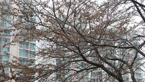 [현장 포토] 해운대 신도시 아파트단지에 '흰불나방' 확산