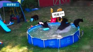 [생생영상] 피서 즐기려 가정집 난입한 곰 가족&hellip;'혼비백산'