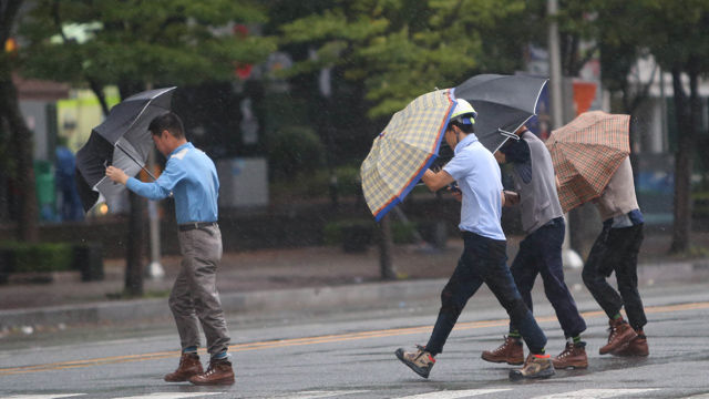 메인이미지  2 : 25일 북상중인 제15호 태풍 '고니'의 영향권에 들어간 부산 해운대구 센텀시티에서 시민들이 강한 바람 속에서 우산을 들고 걸어가고 있다. 기상청은 정오부터 부산이 태풍의 직접 영향권에 들어 오후 3시 최대 고비가 될 것이라고 예보했다. (부산=연합뉴스)