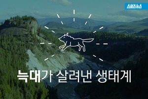 늑대가 살려낸 생태계&hellip;신비로운 균형