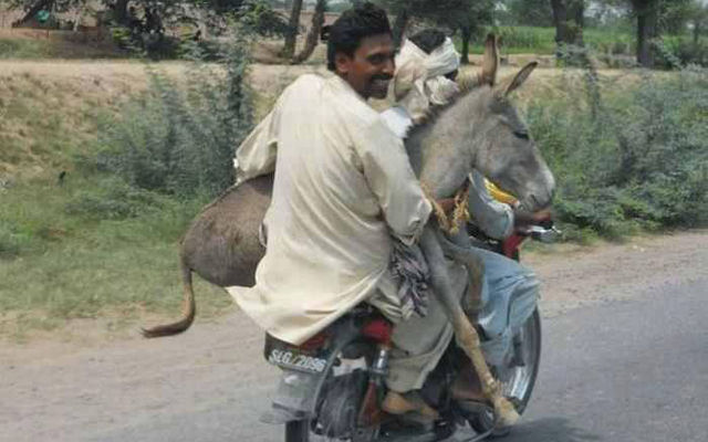 메인이미지  4 : 