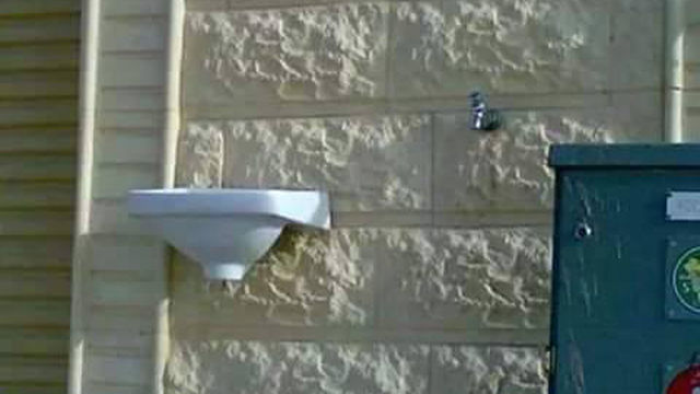 메인이미지  5 : 