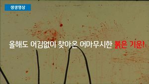 [생생영상] 70살 맞은 '토마토 축제'&hellip;스페인 '들썩들썩'
