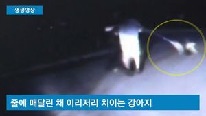 [생생영상] 강아지 목줄 잡아 당겨 휘둘러&hellip;美, 경찰에게 강아지 던진 남성