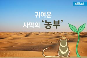 사라져가는 '사막의 농부' 캥거루쥐를 구해주세요