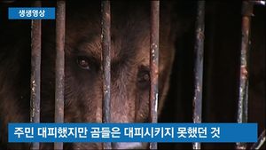 [생생영상] 물속에 고립된 동물원&hellip;옴짝달싹 못하는 곰들