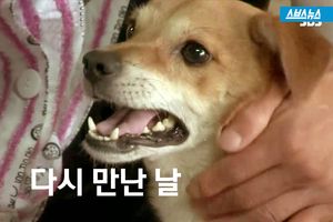 다시 만난 날&hellip;생사를 넘나든 '사랑'