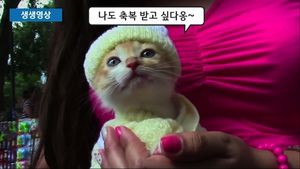 [생생영상] 동물에게도 축복을&hellip;애완동물 위한 '특별한 미사'