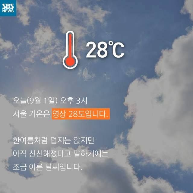 메인이미지  2 : 
