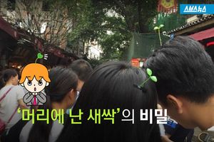 중국인들 머리에 난 새싹&hellip;독특한 머리핀의 정체