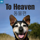 섬네일이미지  1: