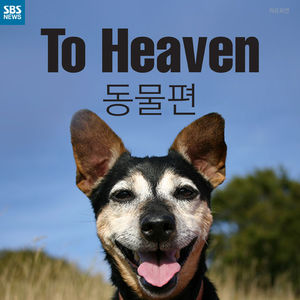 [카드뉴스] '강아지 보고 싶은데'&hellip;간절한 마음 악용한 범죄