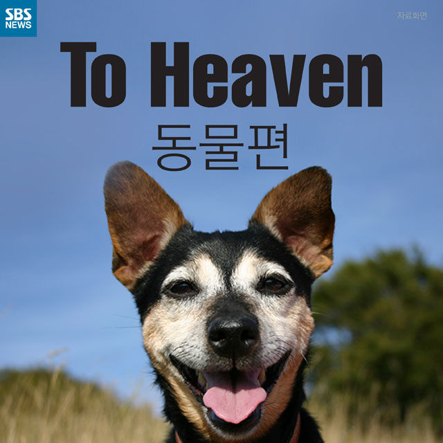메인이미지  1 : 