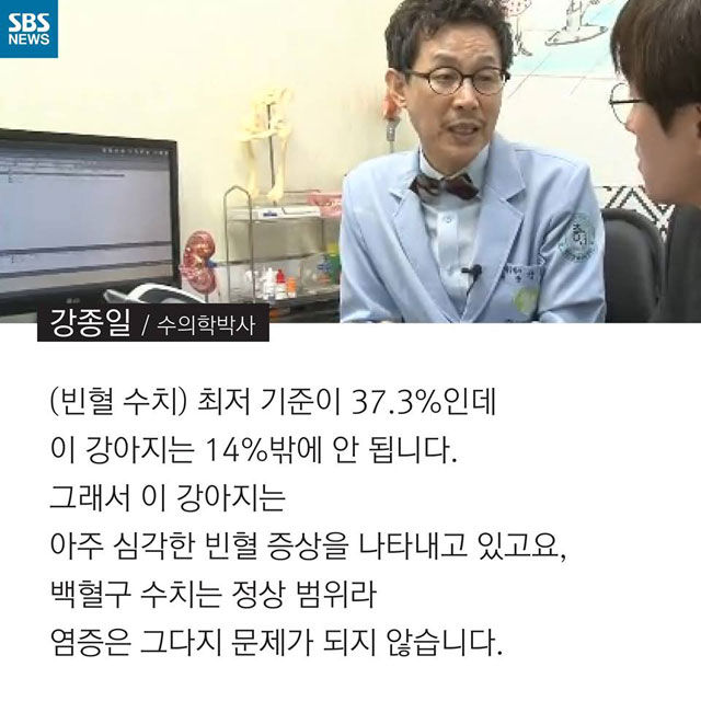 메인이미지  9 : 