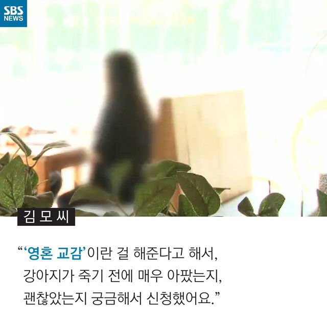 메인이미지  5 : 