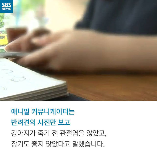 메인이미지  6 : 