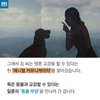 섬네일이미지  4: