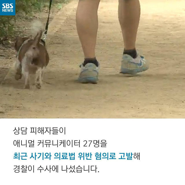 메인이미지  13 : 