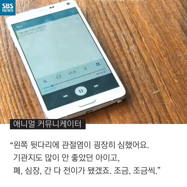 메인이미지  7 : 