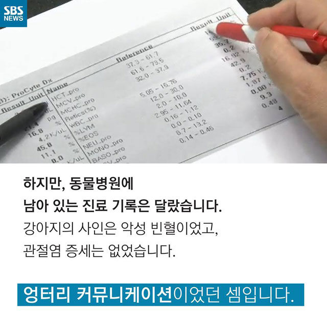 메인이미지  8 : 