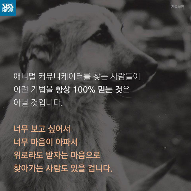 메인이미지  14 : 