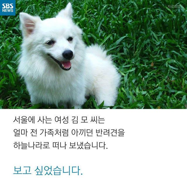 메인이미지  2 : 