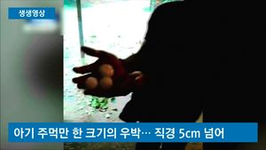 [생생영상] '아기 주먹만 한 우박' 돌풍에 나폴리 '쑥대밭'