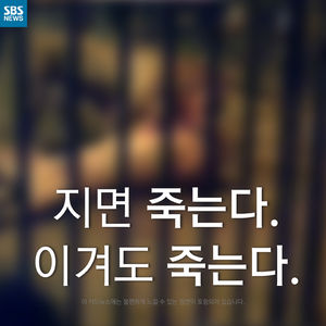 [카드뉴스] 지면 죽는다. 이겨도 죽는다.