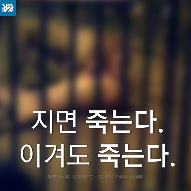 메인이미지  1 : 