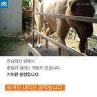 섬네일이미지  2:
