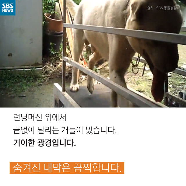 메인이미지  2 : 