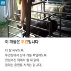 섬네일이미지  3: