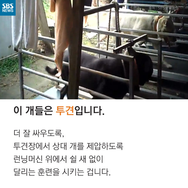 메인이미지  3 : 