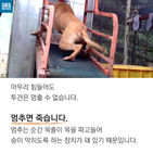 섬네일이미지  4: