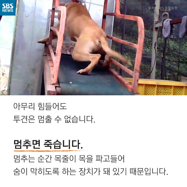 메인이미지  4 : 