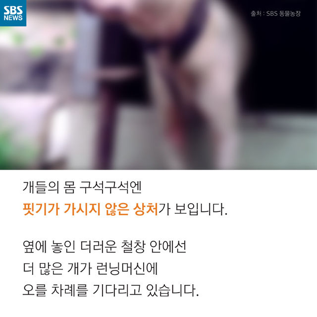 메인이미지  5 : 