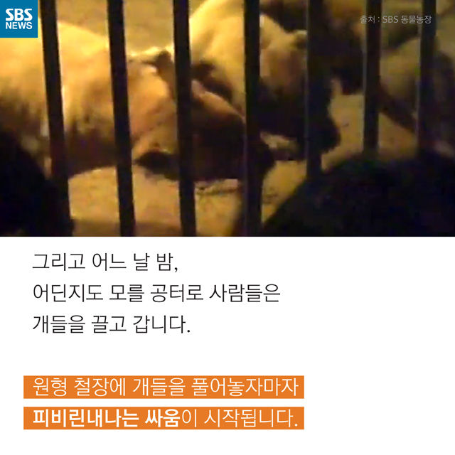 메인이미지  6 : 