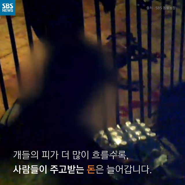 메인이미지  7 : 