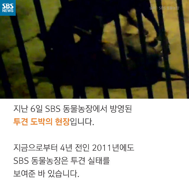 메인이미지  8 : 