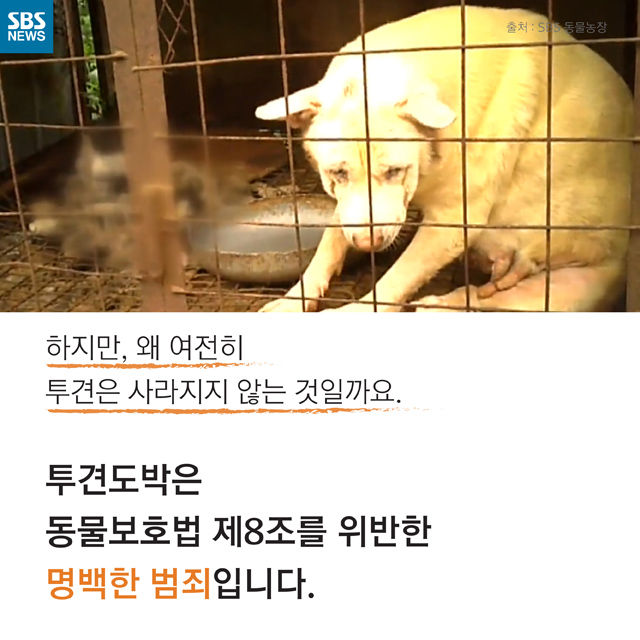 메인이미지  9 : 